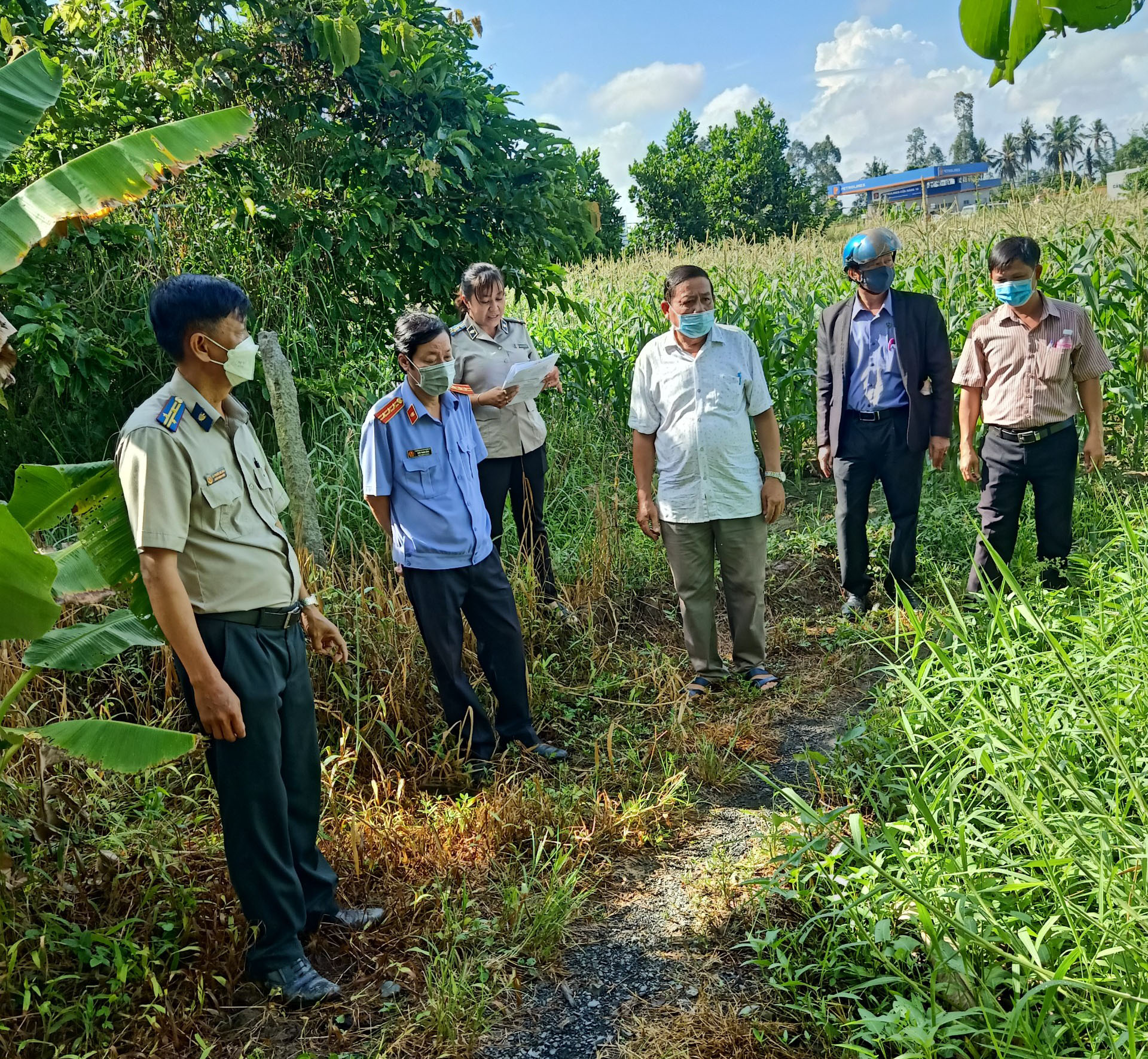 Cục Thi hành án dân sự tổ chức cưỡng chế chuyển giao quyền sử dụng đất
