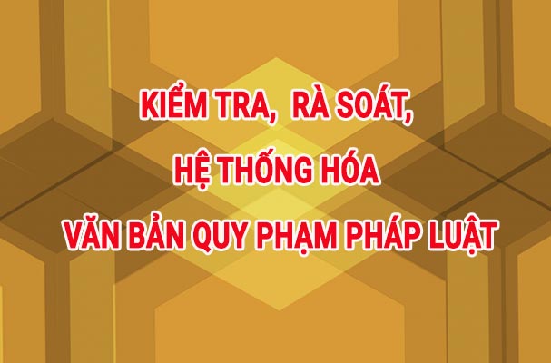 Công tác kiểm tra, rà soát, hệ thống hóa văn bản quy phạm pháp luật năm 2019 tác động tích cực nâng cao chất lượng của hệ thống pháp luật