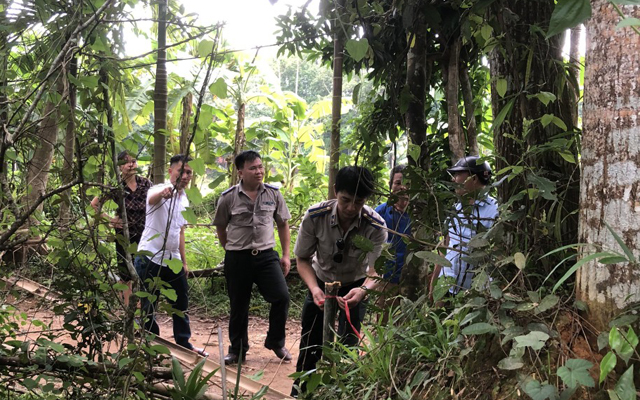 Bá Thước: giao đất và tài sản trên đất thành công