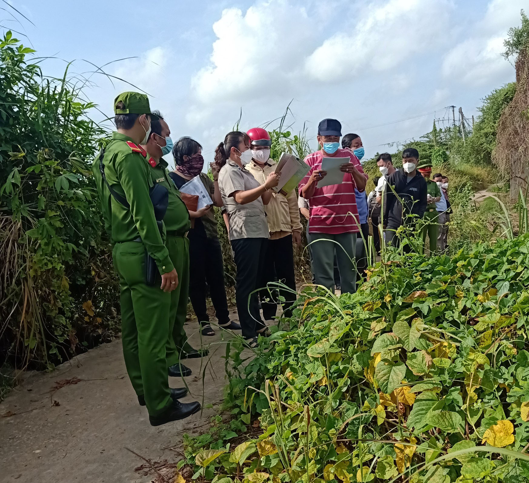 Cục Thi hành án dân sự tỉnh Đồng Tháp tổ chức cưỡng chế thi hành án chuyển giao tài sản gắn liền với quyền sử dụng đất