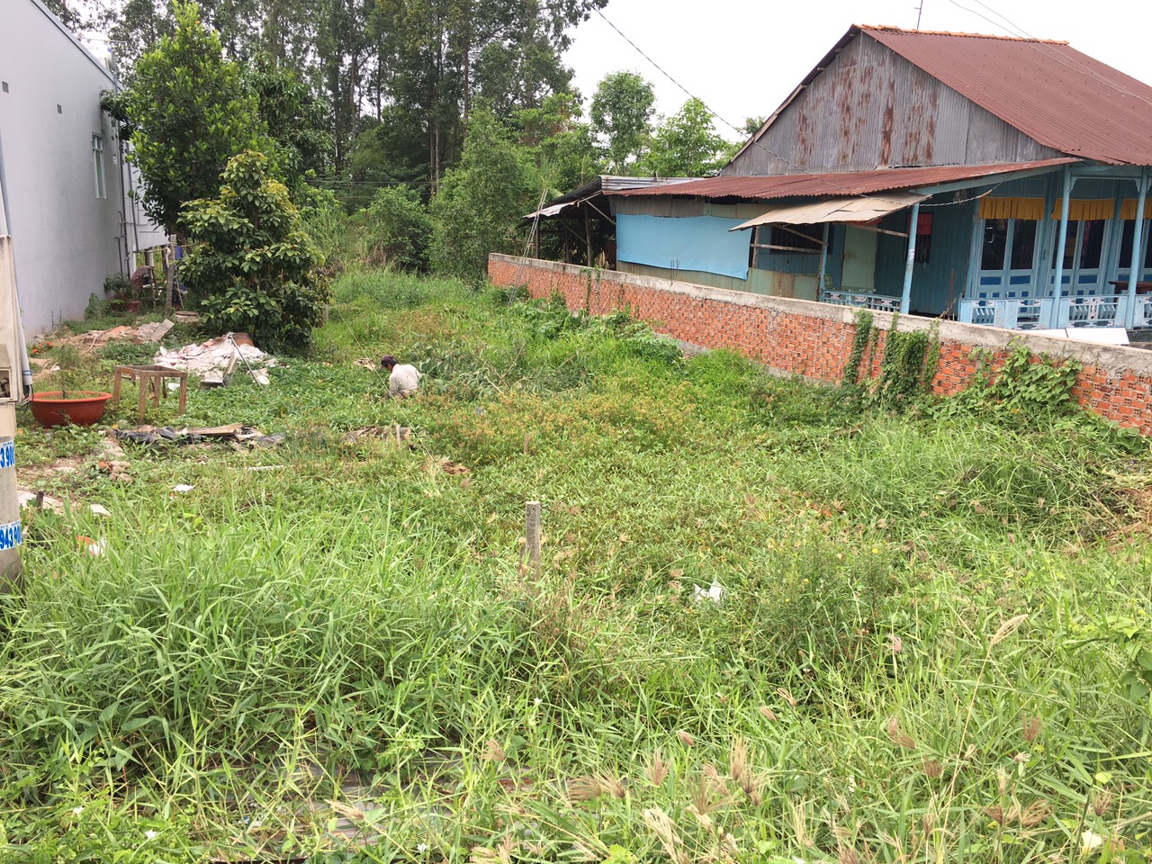 Chi cục Thi hành án dân sự huyện Lấp Vò tổ chức cưỡng chế chuyển giao tài sản là quyền sử dụng đất