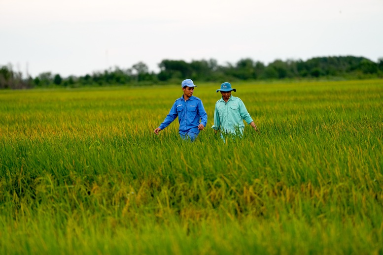 Phát triển kinh tế tư nhân gắn với tăng trưởng xanh: Cú hích chính sách và bài toán thực thi - Ảnh 2