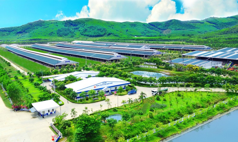 Phát triển kinh tế tư nhân gắn với tăng trưởng xanh: Cú hích chính sách và bài toán thực thi - Ảnh 1