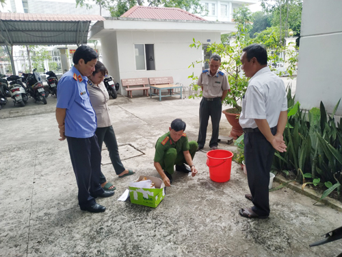 Cục Thi hành án dân sự tiêu hủy tang vật