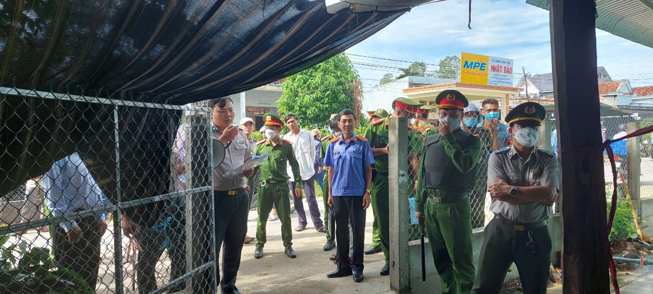 Cục Thi hành án dân sự tỉnh Quảng Ngãi cưỡng chế đốn chặt cây cối, dỡ dọn tài sản trên đất và chuyển giao quyền sử dụng đất