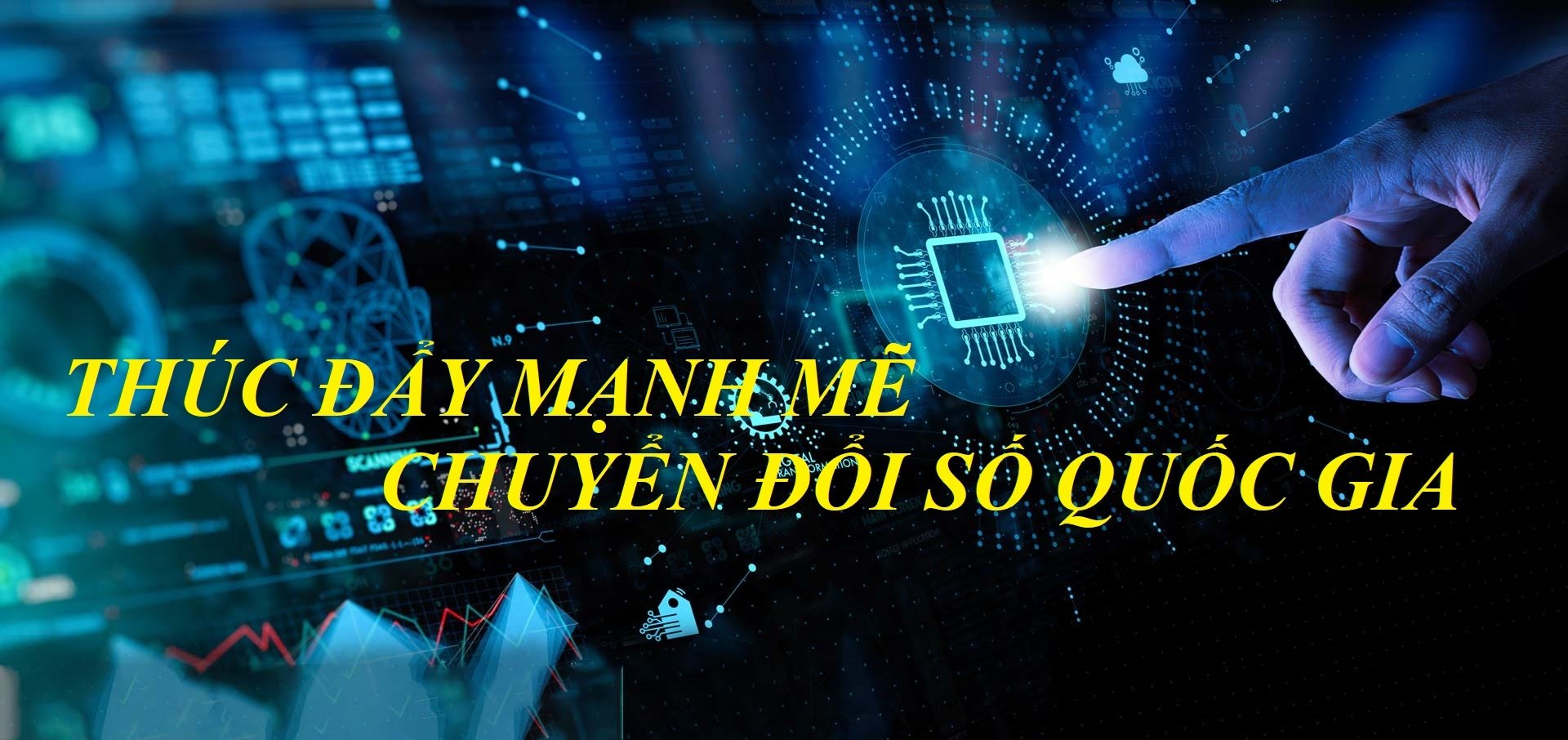 Ảnh 3