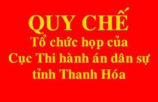 Quyết định ban hành quy chế tổ chức họp của Cục Thi hành án dân sự tỉnh
