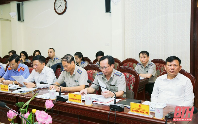 Thường trực HĐND tỉnh cho ý kiến về công tác thi hành án dân sự