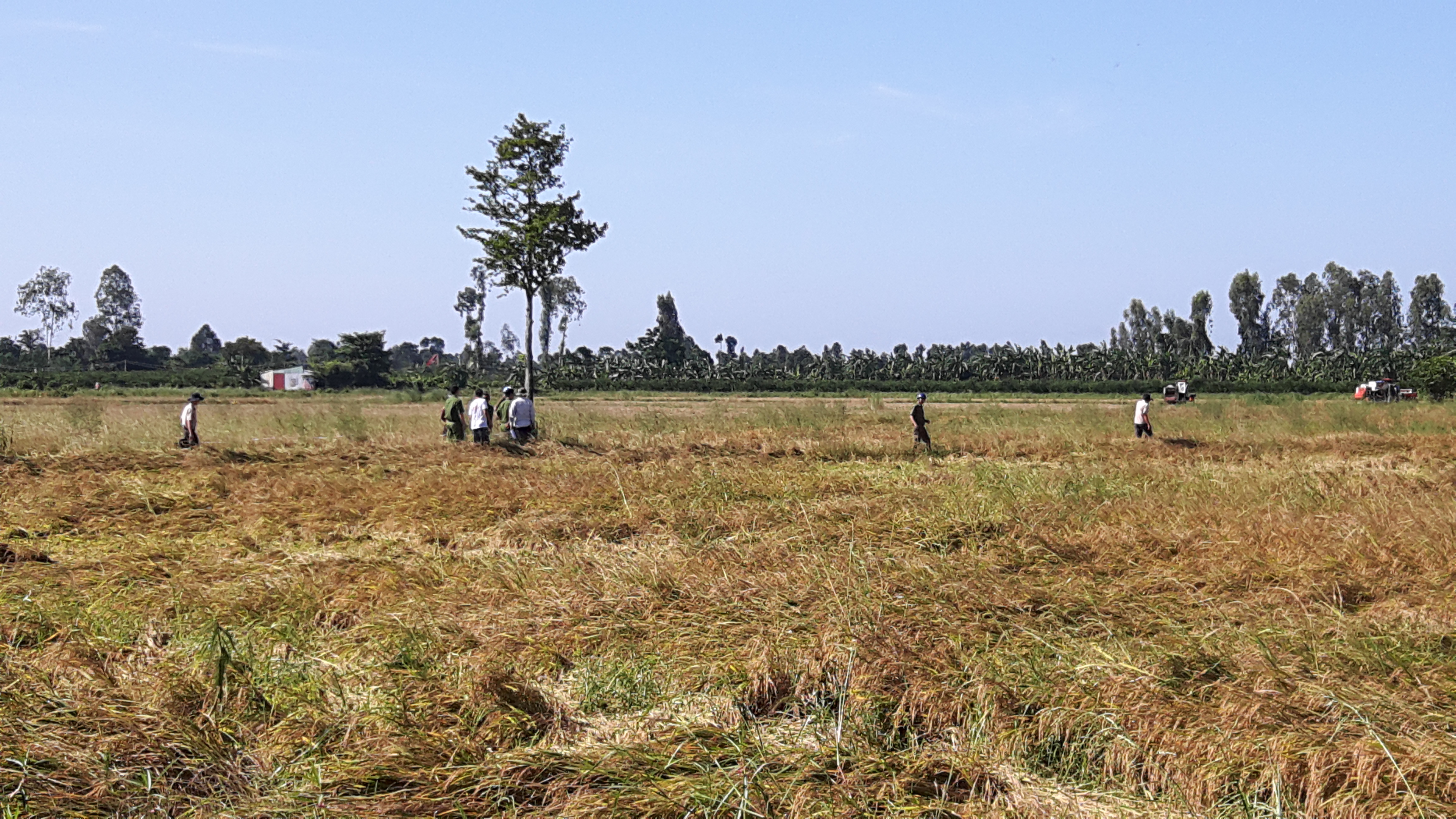 Giao tài sản là quyền sử dụng đất cho người được thi hành án để bảo đảm hiệu lực các phán quyết dân sự về tài sản của Tòa án