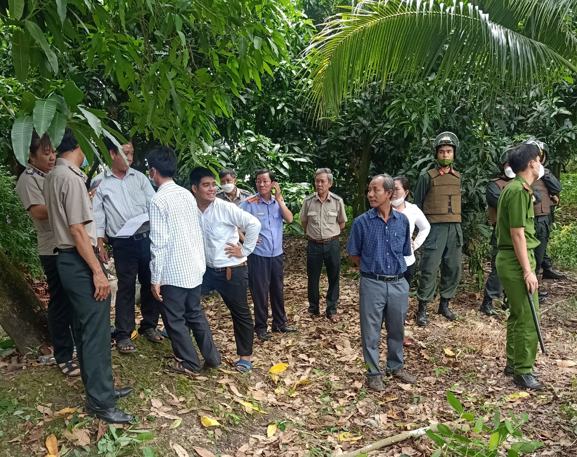 Cưỡng chế giao quyền sử dụng đất tại xã Phương Trà, huyện Cao Lãnh, tỉnh Đồng Tháp