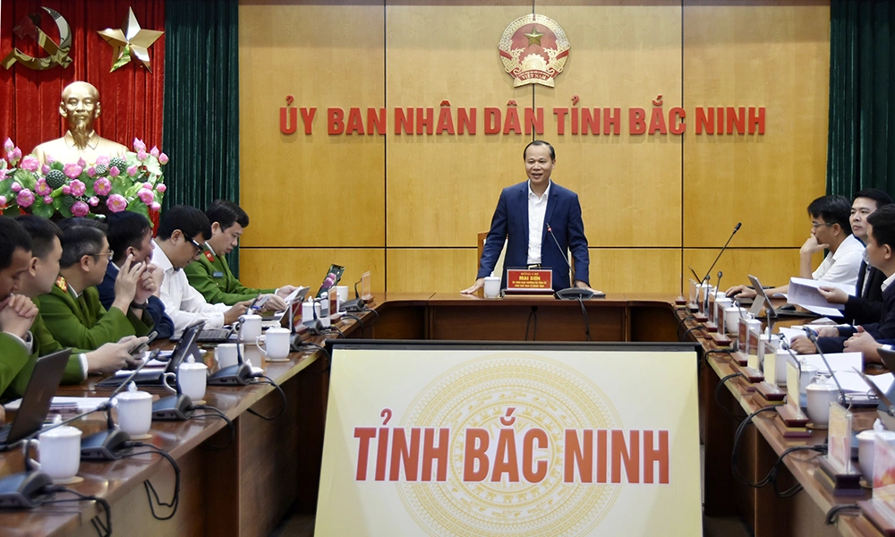 Đồng chí Mai Sơn, Ủy viên Ban Thường vụ Tỉnh ủy, Phó Chủ tịch Thường trực UBND tỉnh, phát biểu tại buổi làm việc.