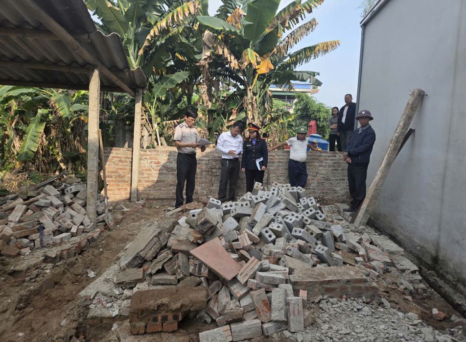 Ảnh đại diện bài viết: