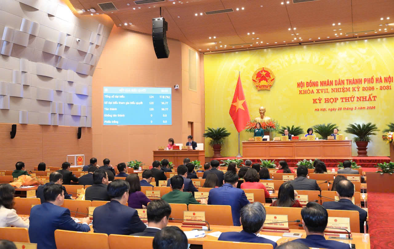 Ảnh đại diện bài viết: