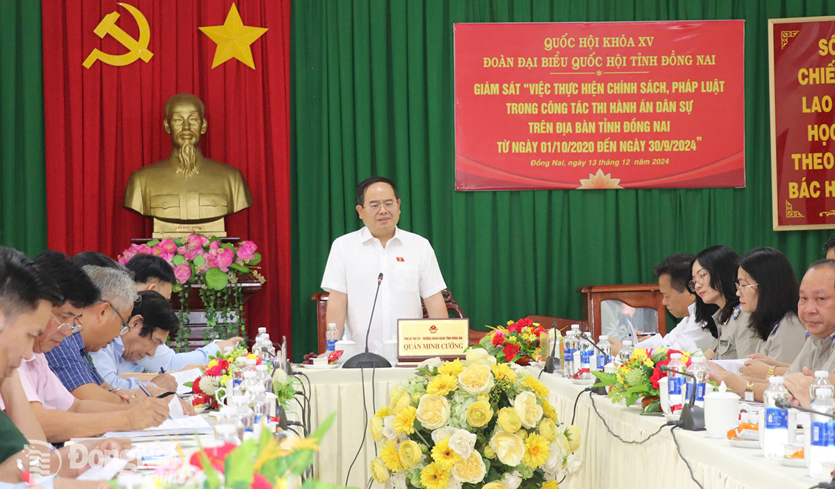 Ảnh đại diện Giám sát việc thực hiện chính sách, pháp luật trong thi hành án dân sự tại huyện Thống Nhất