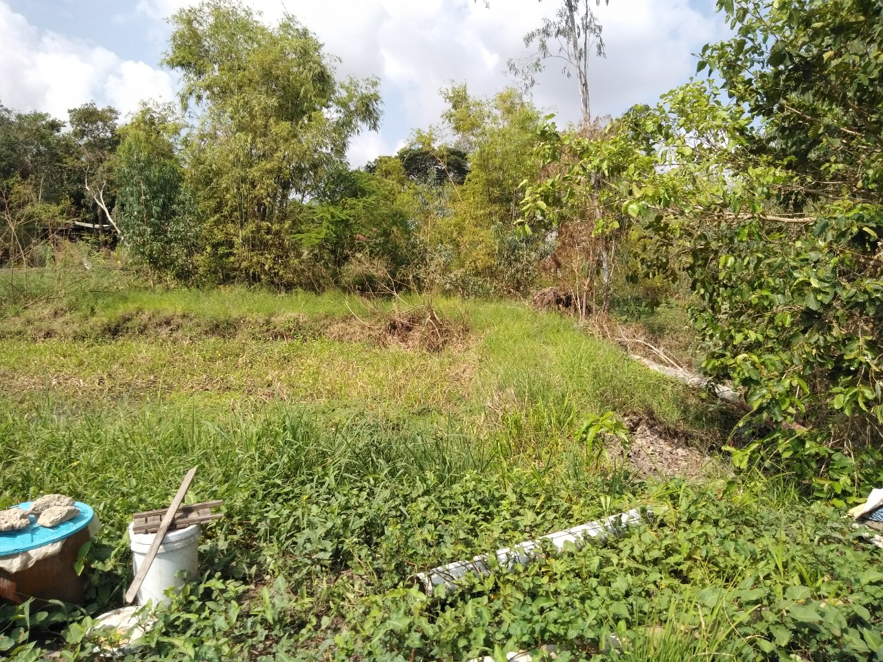 Giao tài sản tự nguyện thi hành án