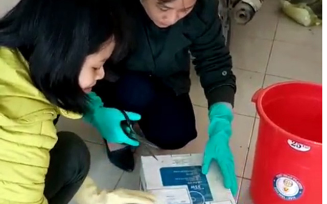 Nông Cống: tiêu hủy vật chứng là pháo nổ