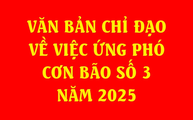 CÔNG VĂN CỦA TRƯỞNG THI HÀNH ÁN DÂN SỰ TỈNH VỀ VIỆC ỨNG PHÓ CƠN BÃO SỐ 3 NĂM 2025