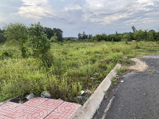 Bất ngờ với bảng giá đất mới ở Thành phố Hồ Chí Minh áp dụng từ 1/8