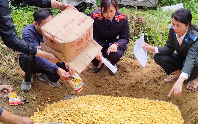 Chi cục THADS thành phố Thanh Hóa tiêu hủy tang vật quý 2 2023.