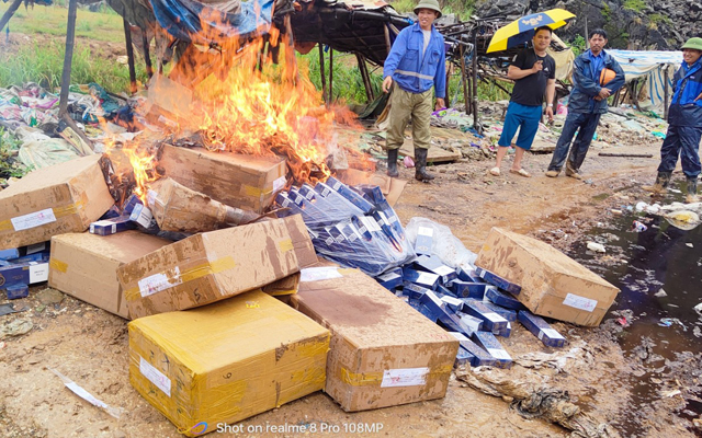 Chi cục THADS TP Thanh Hóa tiêu hủy tang vật với khối lượng lớn