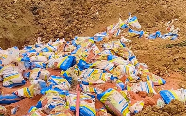 Chi cục THADS thành phố Thanh Hóa tiêu hủy vật chứng