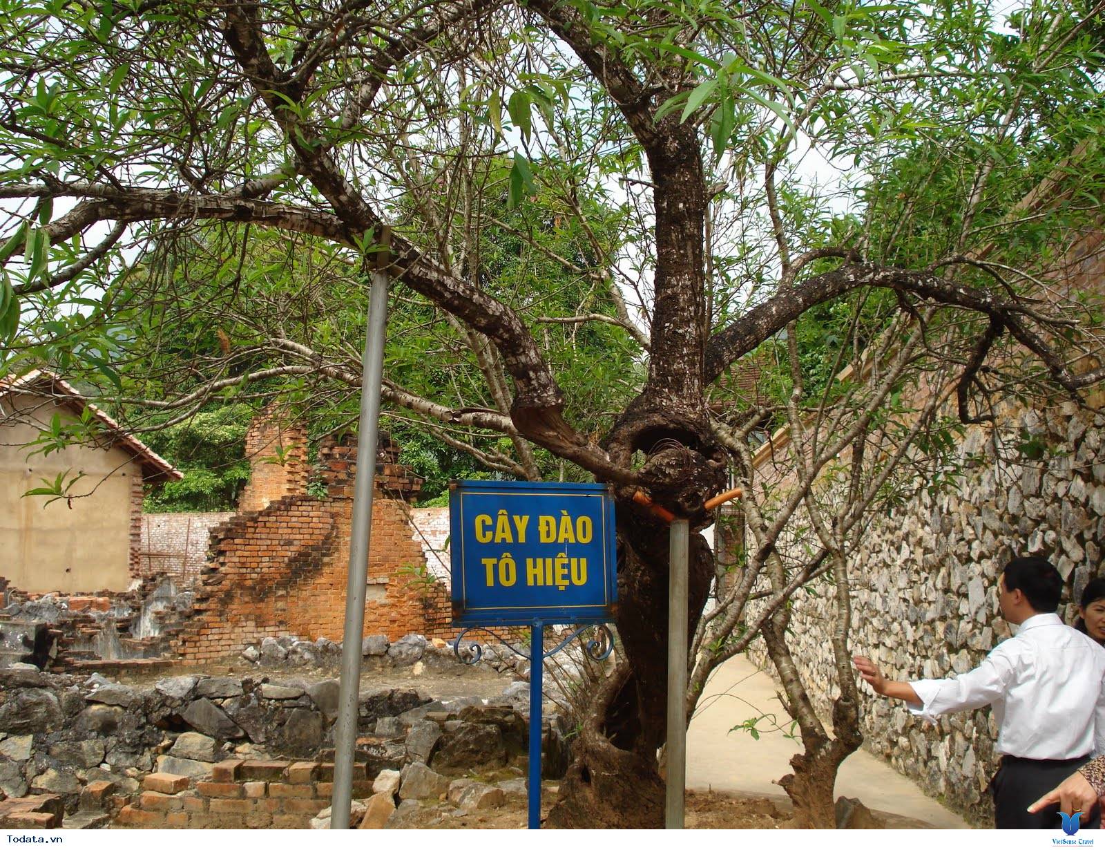 Trở về chiến trường xưa - Điện Biên Phủ