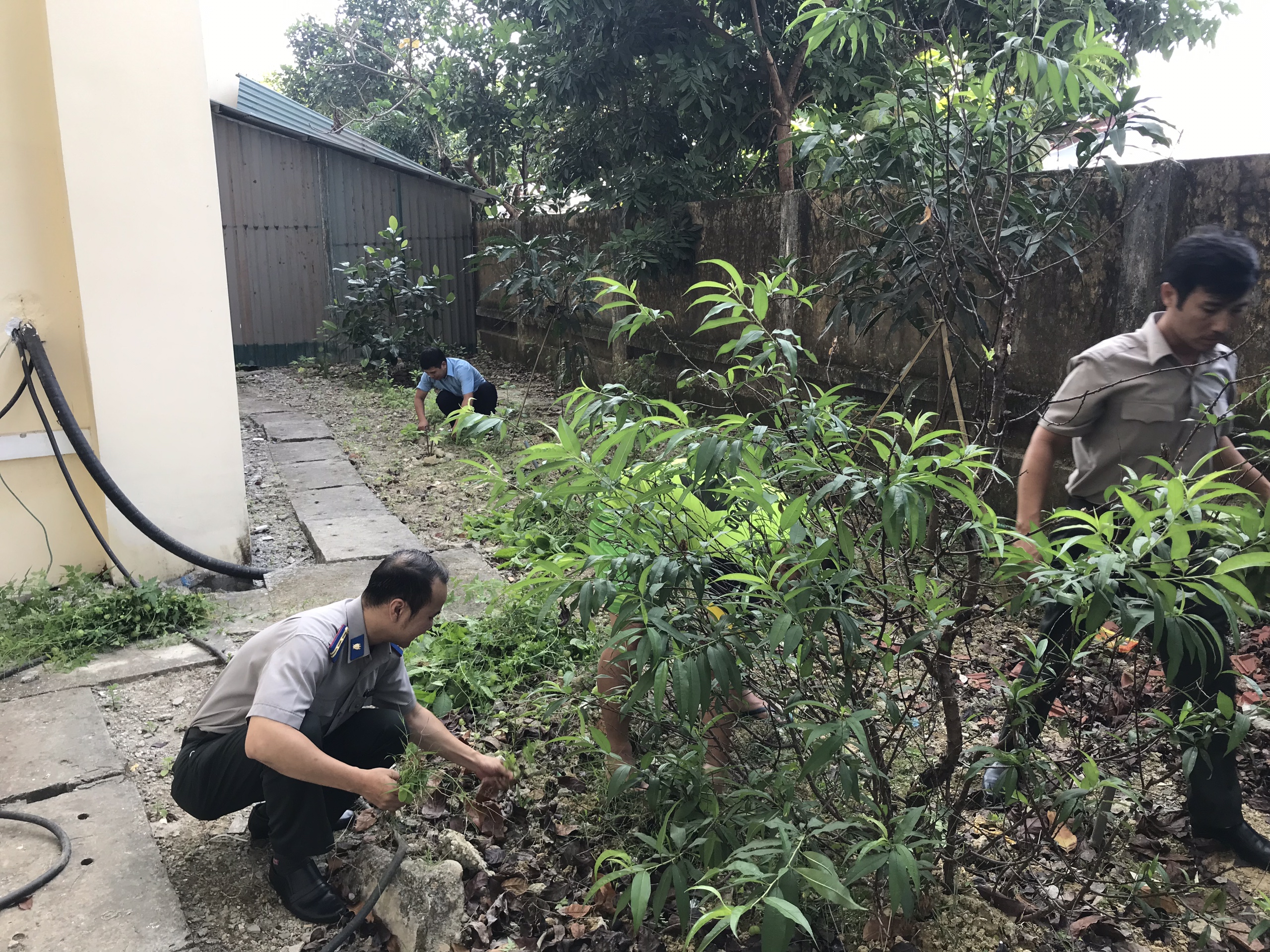 Hưởng ứng "Ngày chủ Nhật xanh"