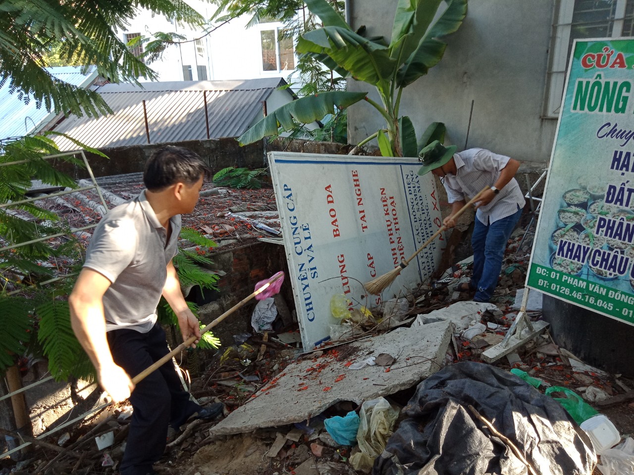 Hưởng ứng phong trào "Ngày chủ Nhật xanh"
