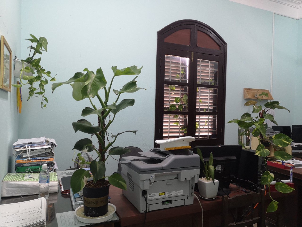 Công chức, người lao động Chi cục Thi hành án dân sự thành phố Huế hào hứng với hội thi "Cơ quan xanh - sạch - sáng" lần thứ II.