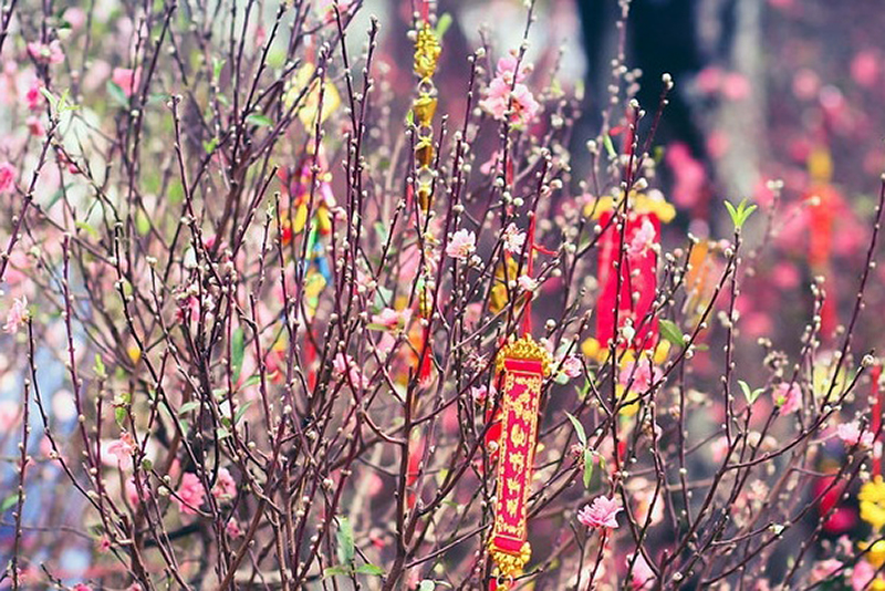 Triển khai công tác đảm bảo an ninh, trật tự, an toàn cơ quan, đơn vị trong thời gian nghỉ Tết Nguyên đán