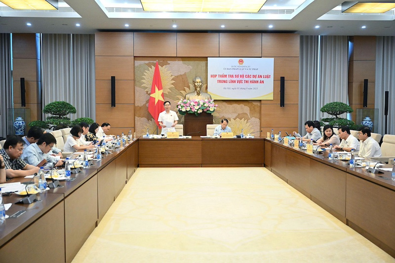 Thẩm tra sơ bộ dự án Luật Thi hành án dân sự (sửa đổi)