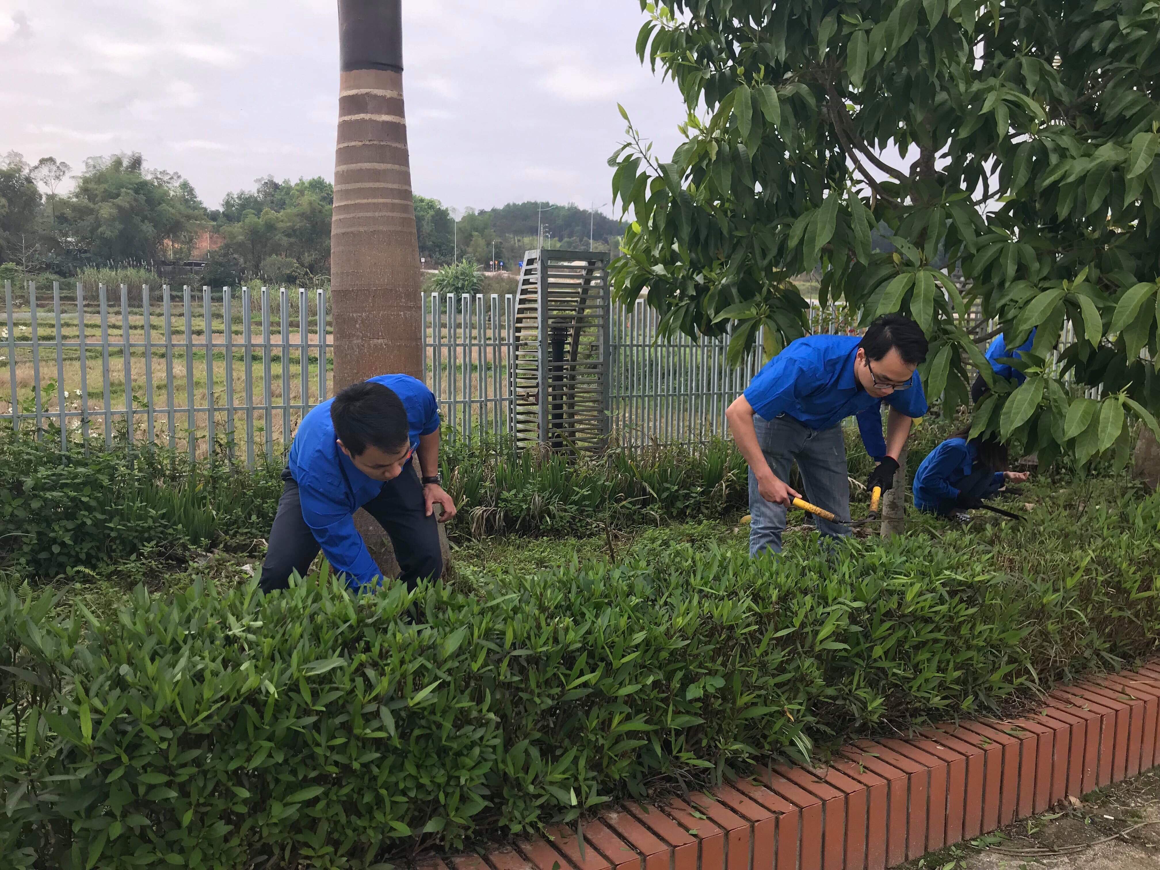 Chi đoàn Thanh niên Cục Thi hành án dân sự tỉnh Cao Bằng hưởng ứng  “Ngày Chủ nhật xanh” năm 2019