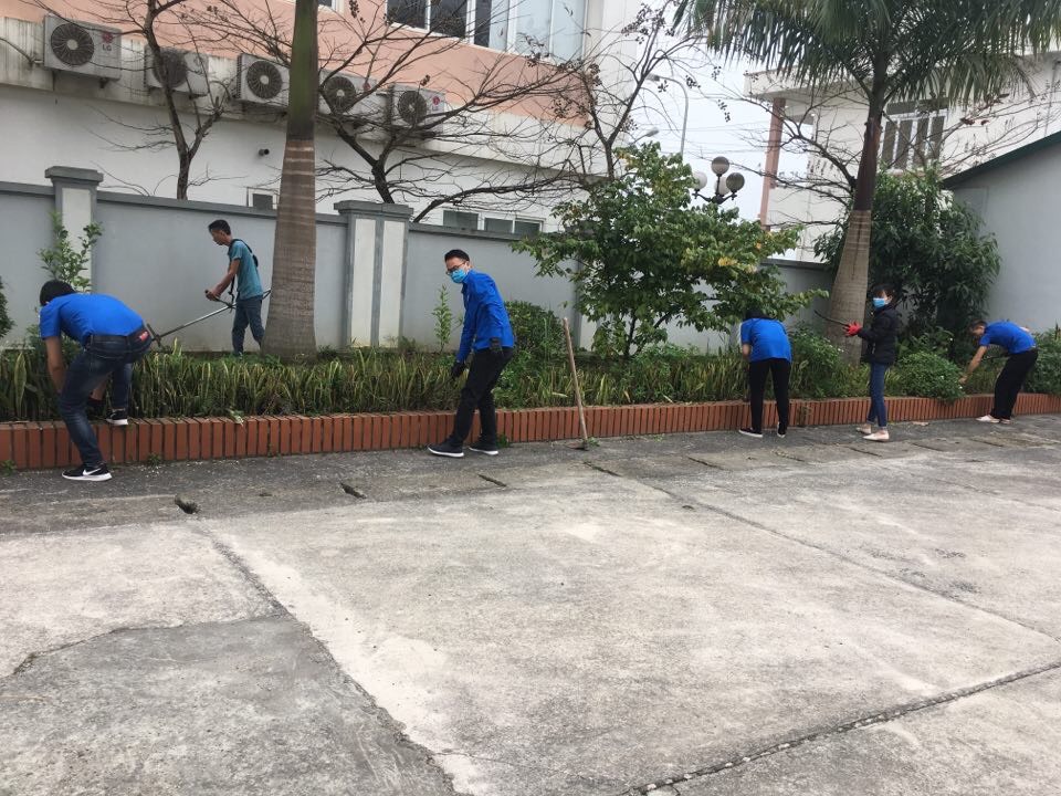 Chi đoàn thanh niên Cục Thi hành án dân sự tỉnh Cao Bằng:  Hưởng ứng Ngày Chủ Nhật xanh