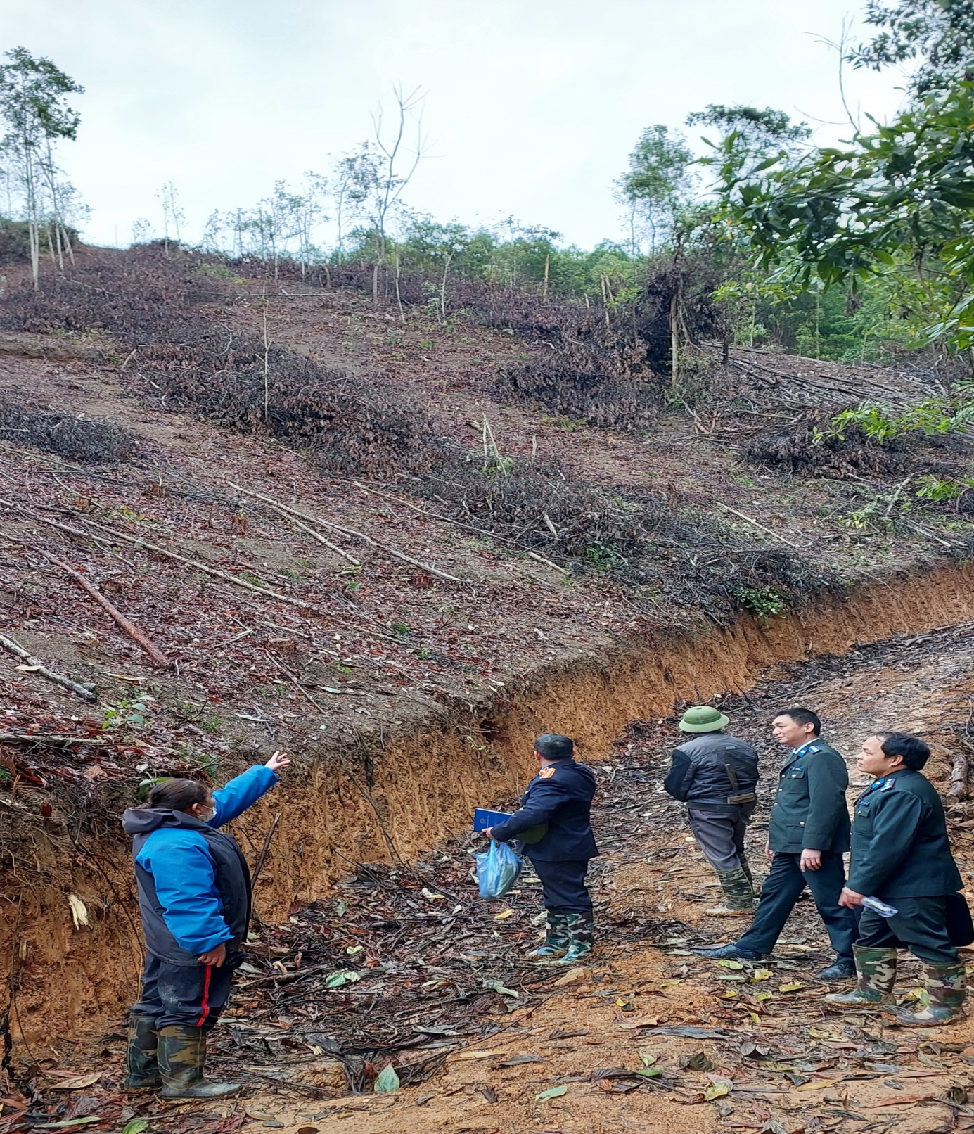 Chi cục Thi hành án dân sự huyện Hà Quảng giao đất rừng phòng hộ