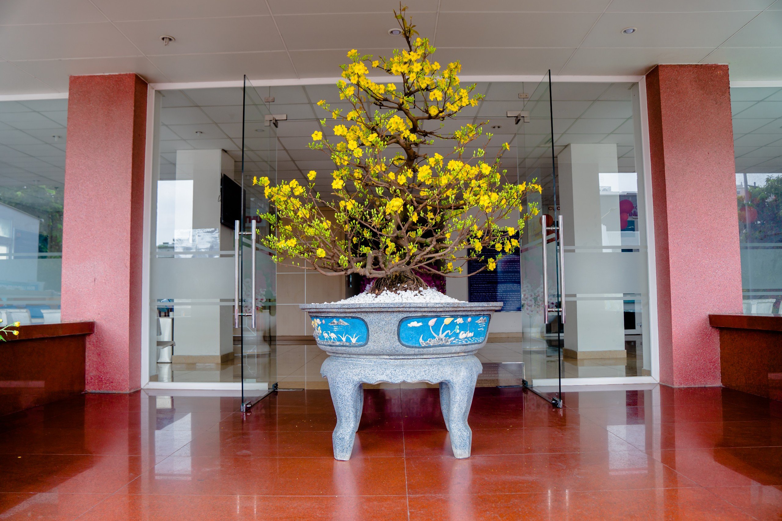 [Ảnh} CỤC THI HÀNH ÁN DÂN SƯ TP.HCM CHÀO ĐÓN XUÂN GIÁP THÌN 2024