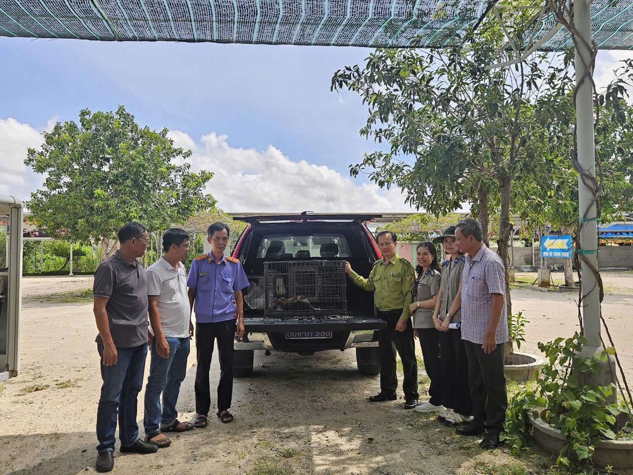 Phòng Thi hành án dân sự Khu vực 1, TP Hồ Chí Minh đã phối hợp với các cơ quan chức năng tiến hành xử lý vật chứng là động vật nguy cấp, quý, hiếm
