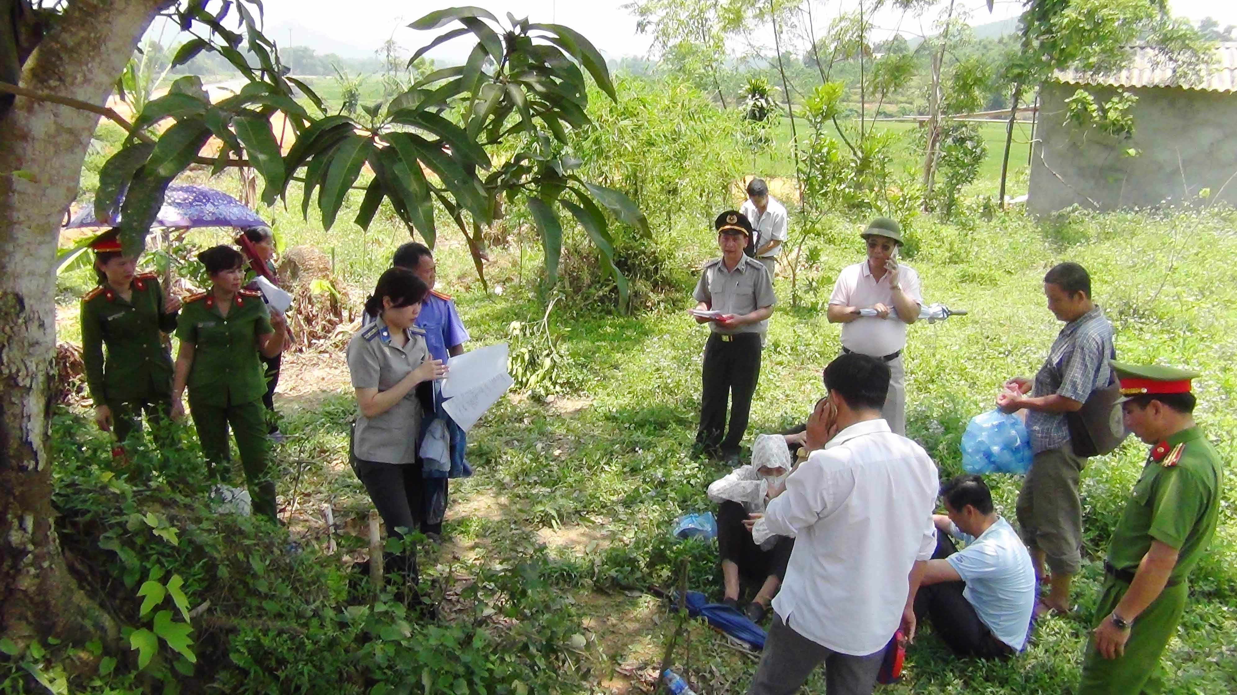 Cục Thi hành án dân sự tổ chức thành công kế hoạch cưỡng chế kê biên tài sản thi hành án