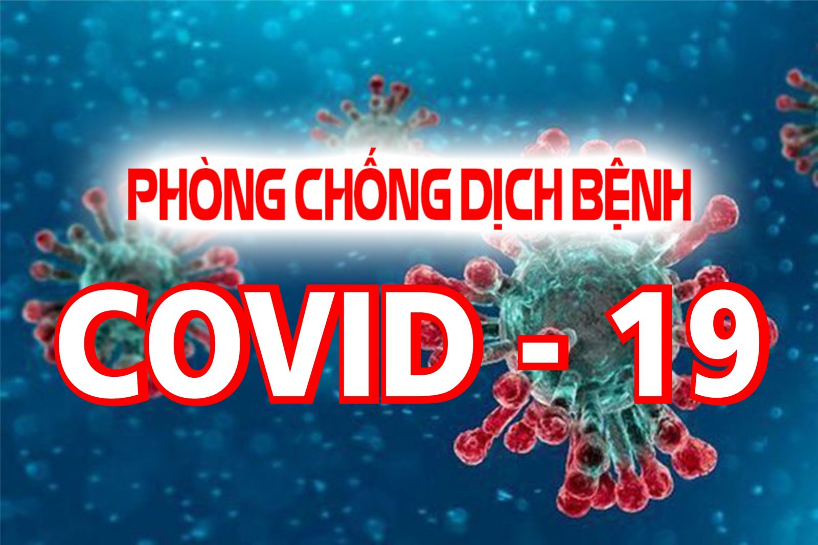 Chỉ đạo của Cục THADS tỉnh về việc thực hiện các biện pháp cấp bách phòng, chống dịch COVID-19