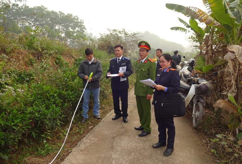 ​Nâng cao hiệu quả công tác thẩm định, đấu giá tài sản thi hành án