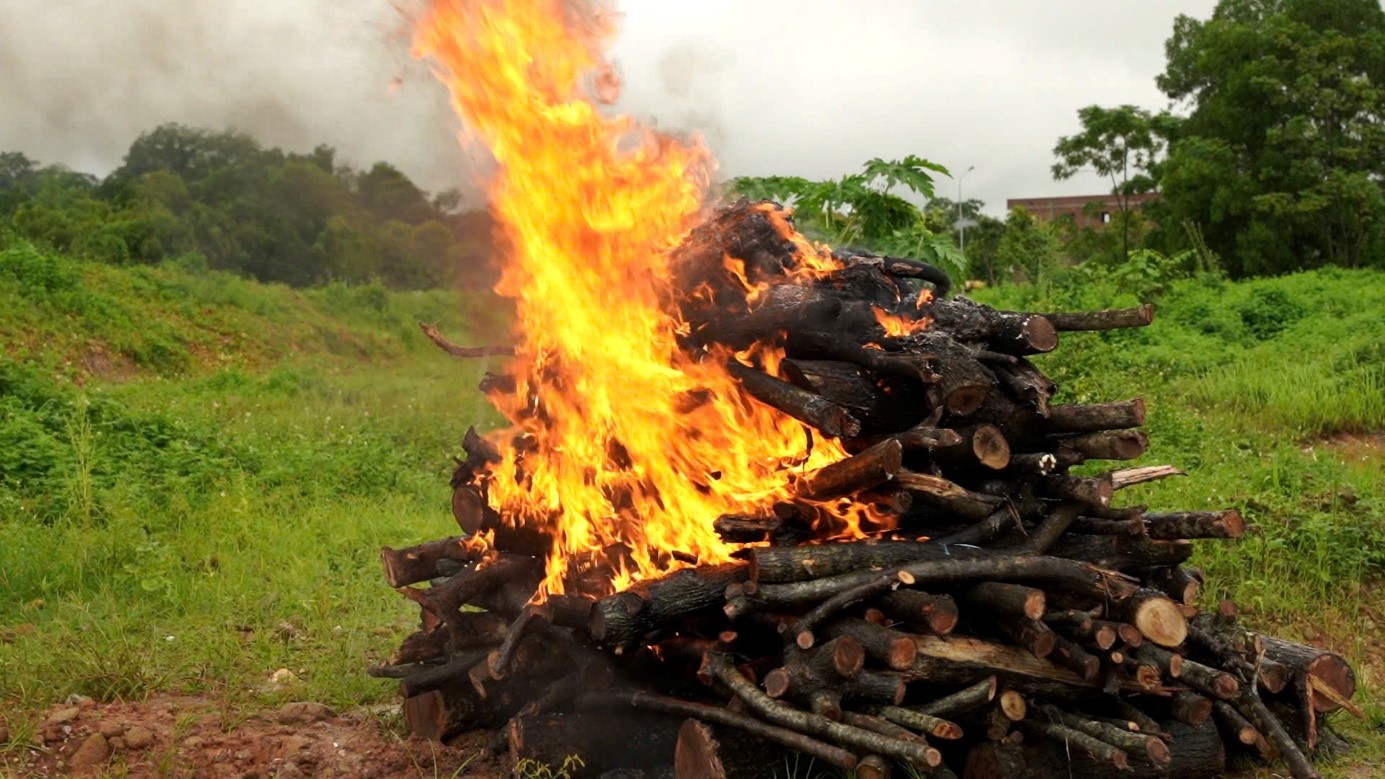 Tiêu hủy vật chứng vụ án “Vi phạm quy định về bảo vệ động vật nguy cấp, quý, hiếm”