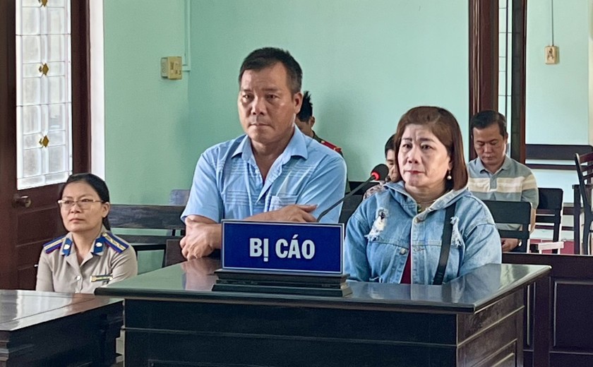 Cố ý tẩu tán tài sản bị kê biên để đảm bảo thi hành án, đôi vợ chồng ở Bình Định lãnh 54 tháng tù