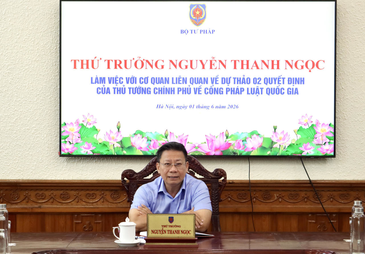 Thứ trưởng Nguyễn Thanh Ngọc ph&aacute;t biểu tại cuộc họp.