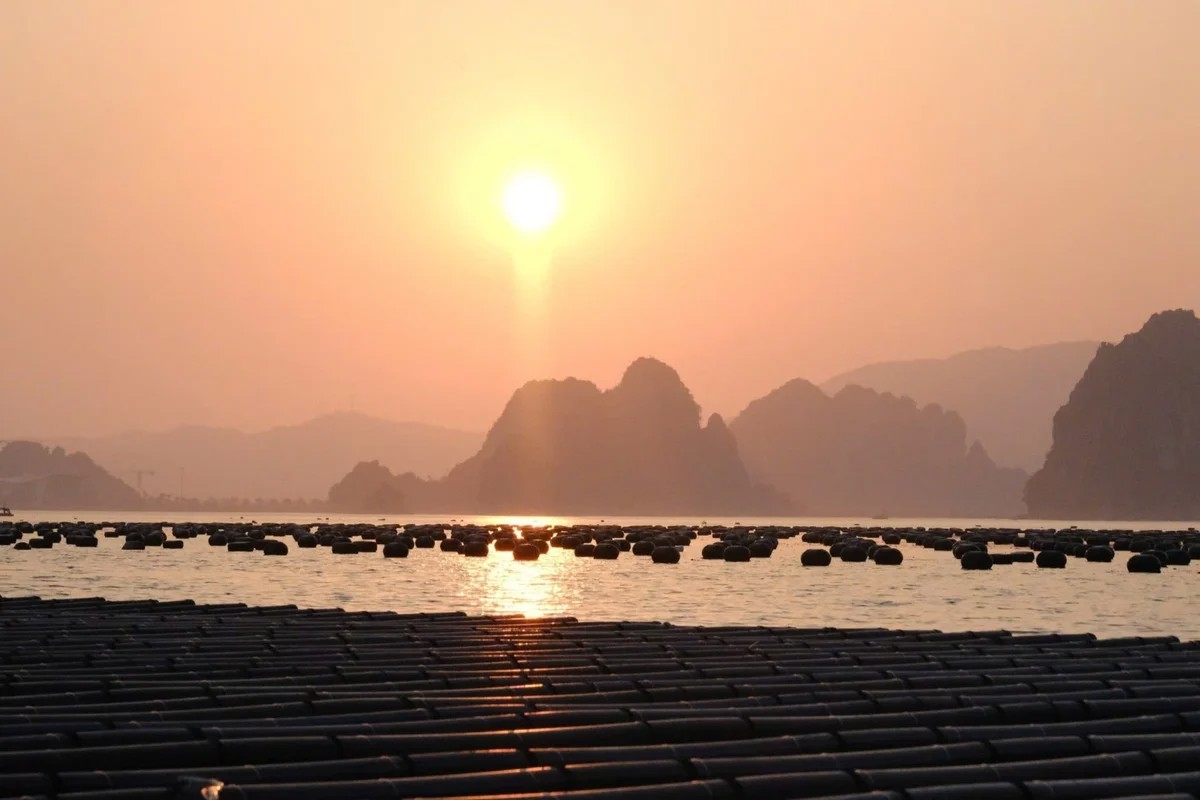 Nu&ocirc;i biển l&agrave; lĩnh vực c&oacute; vốn đầu tư lớn, rủi ro cao, thời gian thu hồi vốn d&agrave;i v&agrave; chịu t&aacute;c động mạnh của thi&ecirc;n tai, dịch bệnh, biến đổi kh&iacute; hậu. Ảnh: Hồng Thắm.
