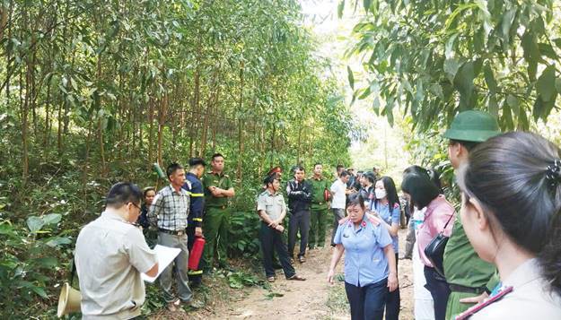 Một vụ cưỡng giao đất rừng do ông Hoàng Danh Trung cùng các cán bộ THADS khu vực 8 phối hợp các lực lượng thực hiện