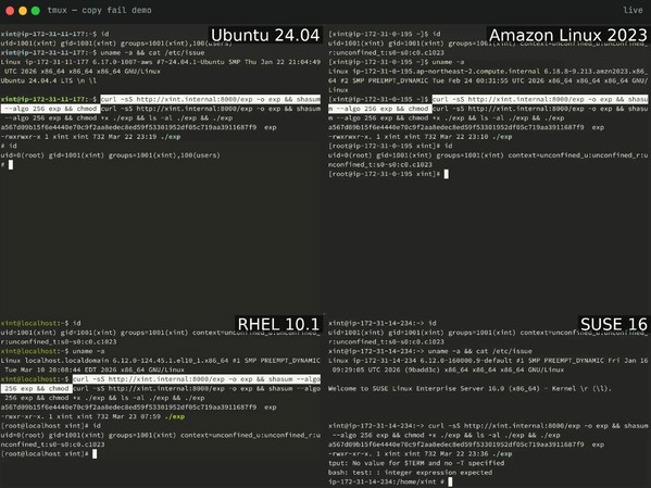 Ảnh đại diện Lỗ hổng Copy Fail mới trên Linux cho phép tin tặc chiếm quyền root