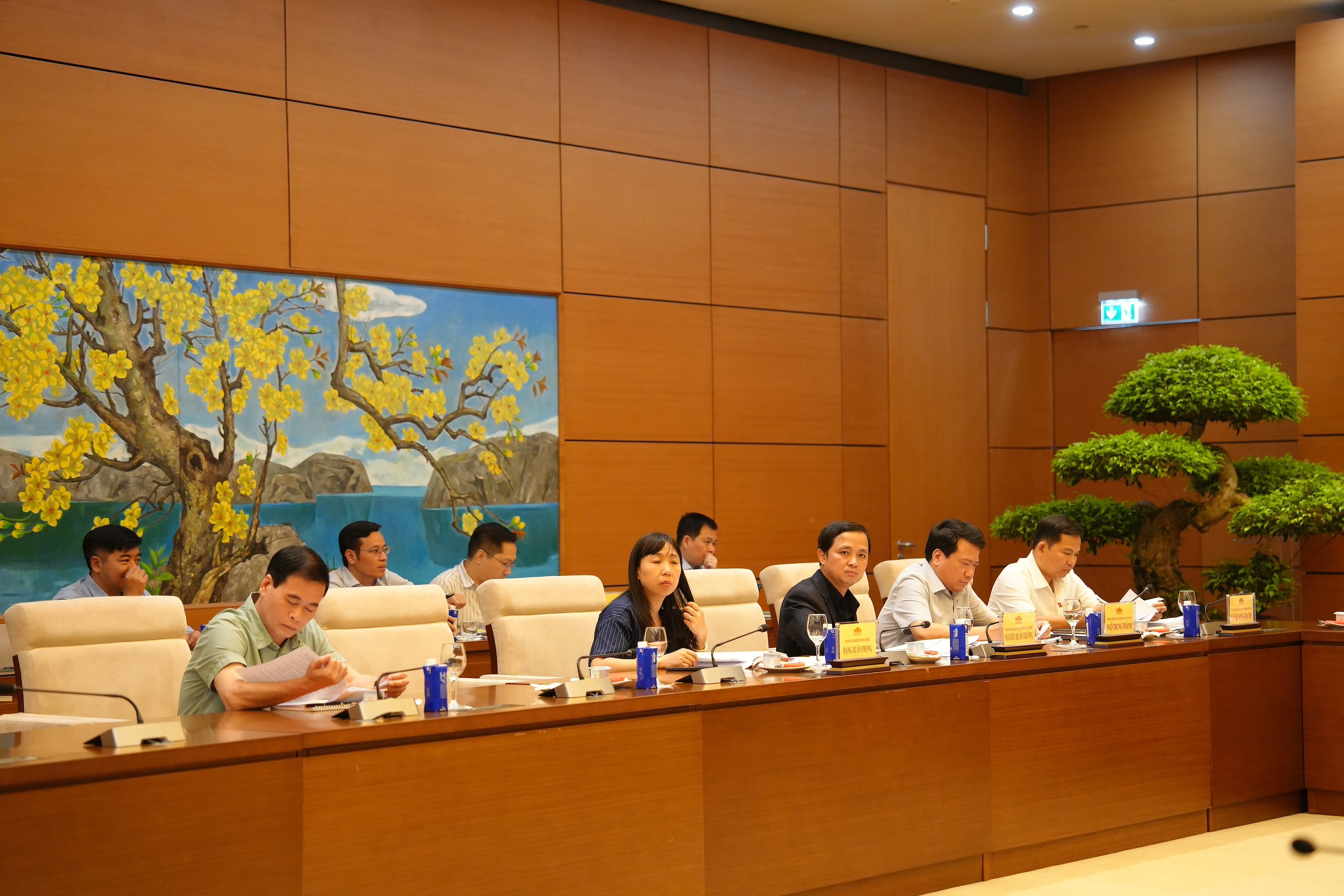 070526 trs db1.JPG