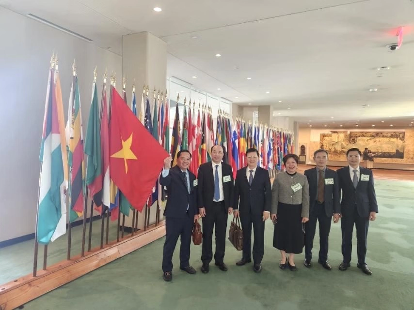 19042026 PL VN HK (3).jpg