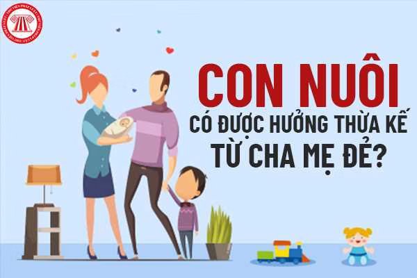 Theo dự thảo Luật Nuôi con nuôi (sửa đổi), sau khi quan hệ nuôi con nuôi được xác lập, quyền thừa kế của con nuôi đối với cha mẹ nuôi sẽ được bảo đảm như con đẻ. (Ảnh minh họa: thuvienphapluat.vn)
