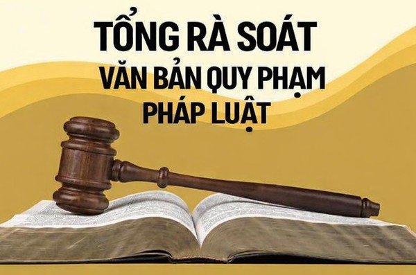 Ảnh đại diện phát huy hiệu quả vai trò của cơ quan thường trực ban chỉ đạo tổng rà soát hệ thống vbqppl